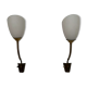Pair of Brass and Opaline Glass Mid-Century Swedish Wall Lights