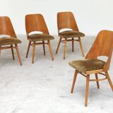Set of 4 chairs model 514 by Radomir Hofman for Ton 1960