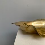 Empty clam pocket
