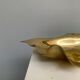 Empty clam pocket