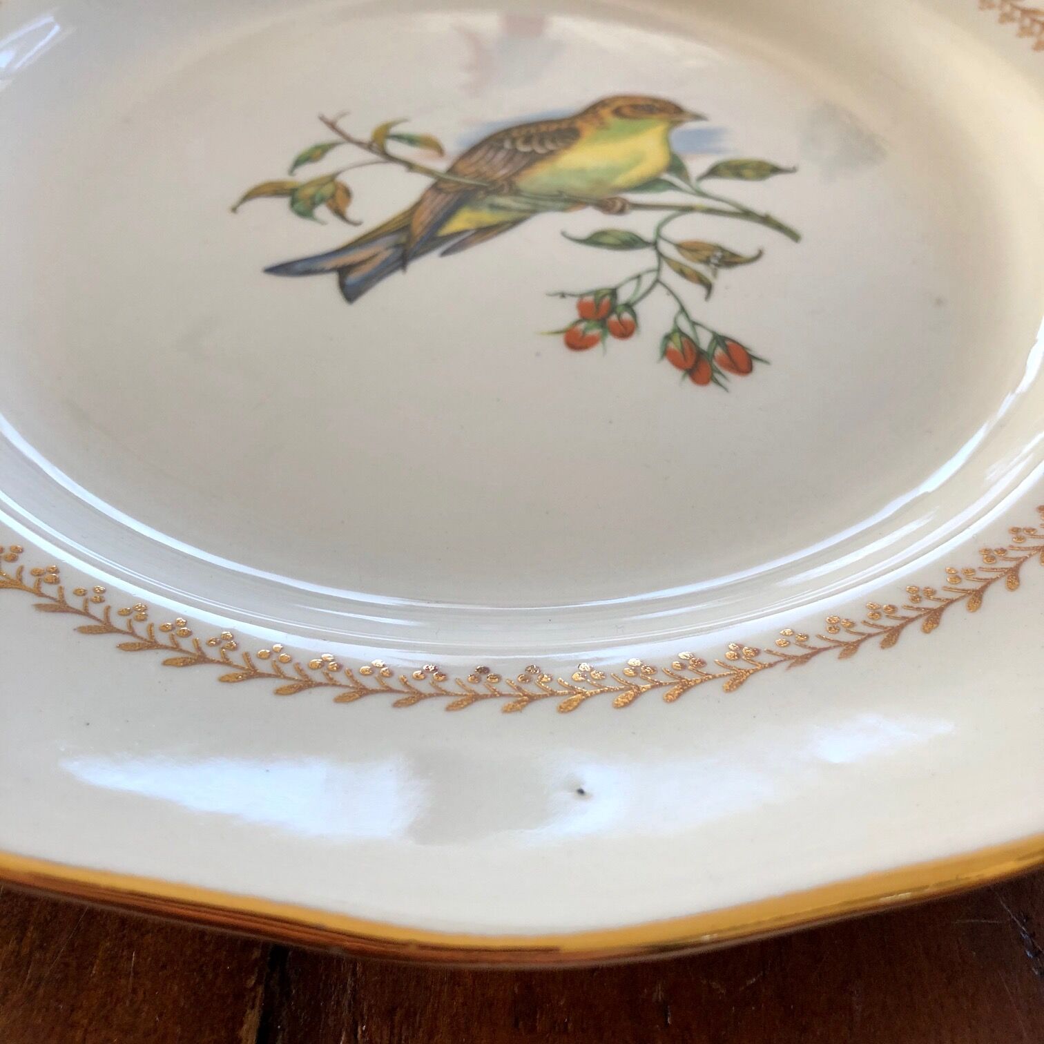 Plate Betting Sparrows