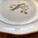 Plate Betting Sparrows