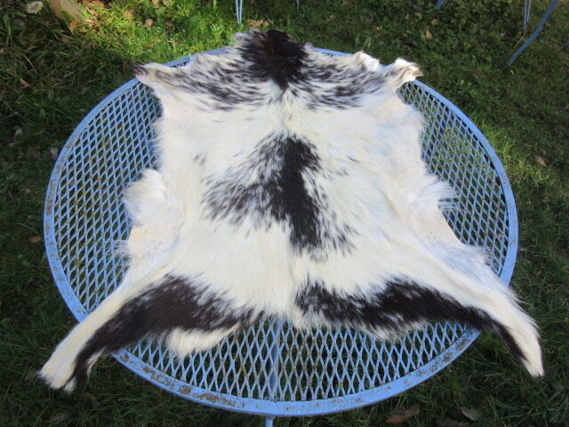 Goat skin