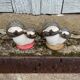Antique porcelain salt and pepper shaker with mushrooms