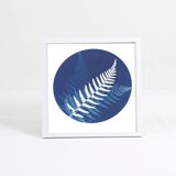 Ferns 2