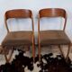 6 chairs Baumann vintage sled