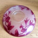 Coupe legras ruby series