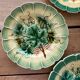 4 barbotine plates