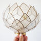 Wall lamp in vintage mother-of-pearl petals