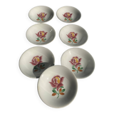 7 soup plates, Gien France, princess model, enameled ceramic floral pattern, roses, painted