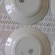 Set of 4 ironstone flat plates