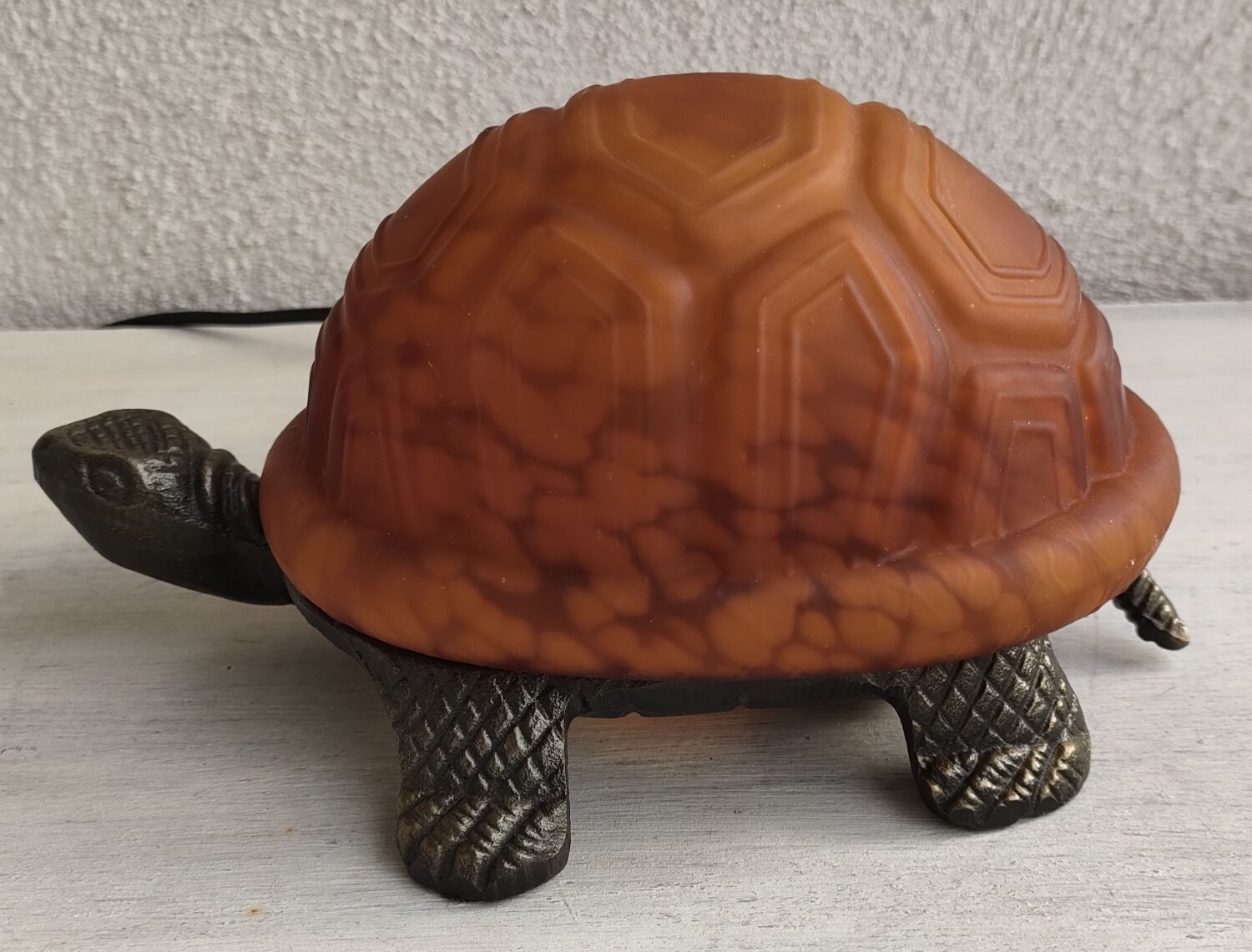 Night light turtle to pose