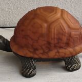 Night light turtle to pose
