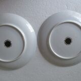 Assiettes à dessert porcelaine fine  de Bavière -botaniqu