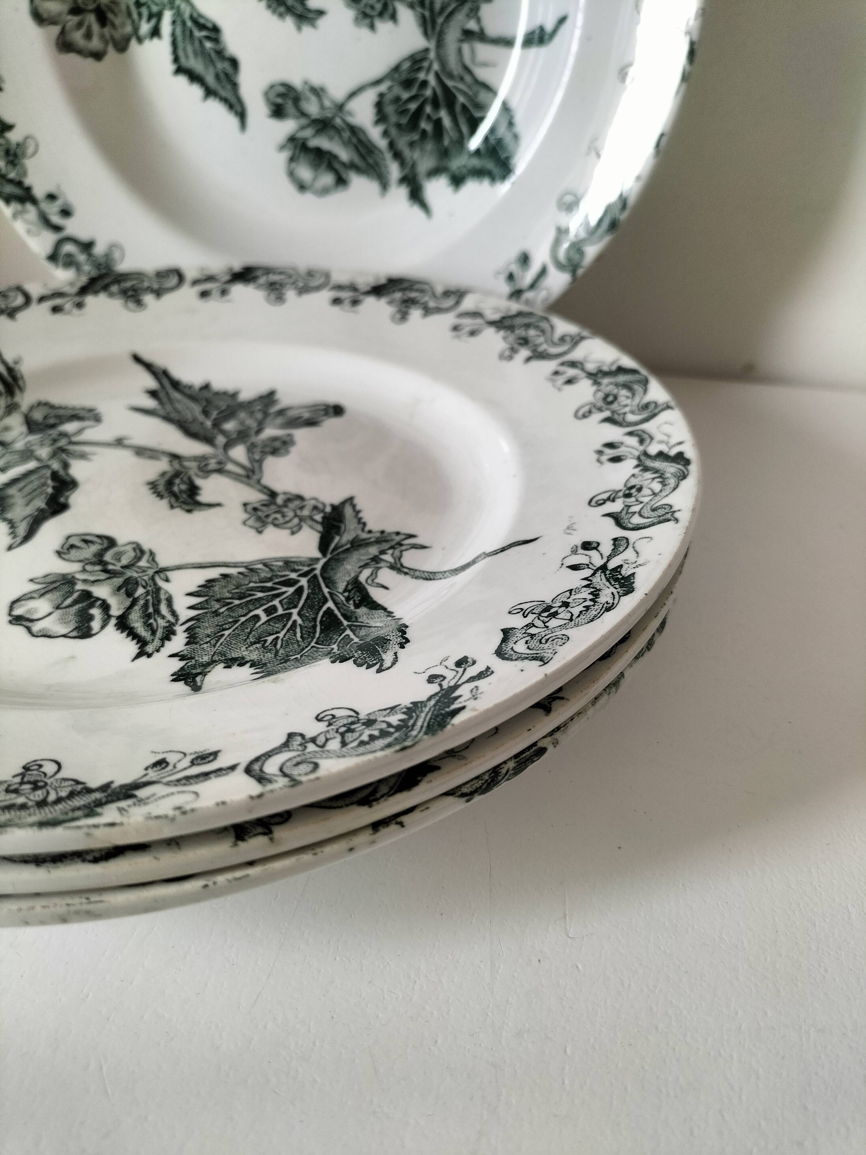 4 ironstone plates A. Lebacqz & M. Bouchart Richelieu model