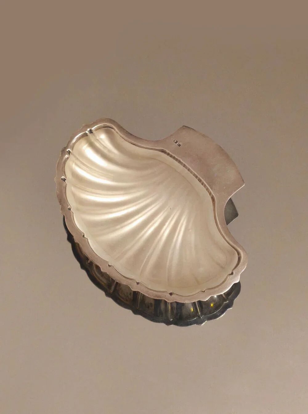 Beurrier coquillage