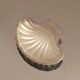 Beurrier coquillage