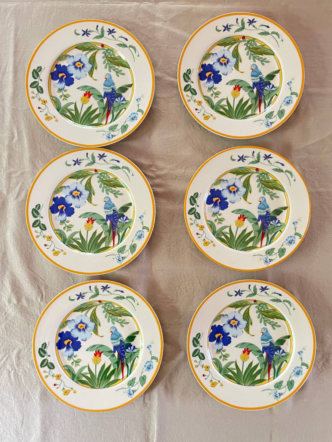 6 Dessert Plates Pier Import Model Ara