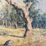 Oil on canvas, Olive tree trunk signed 20th Brvao (JG)