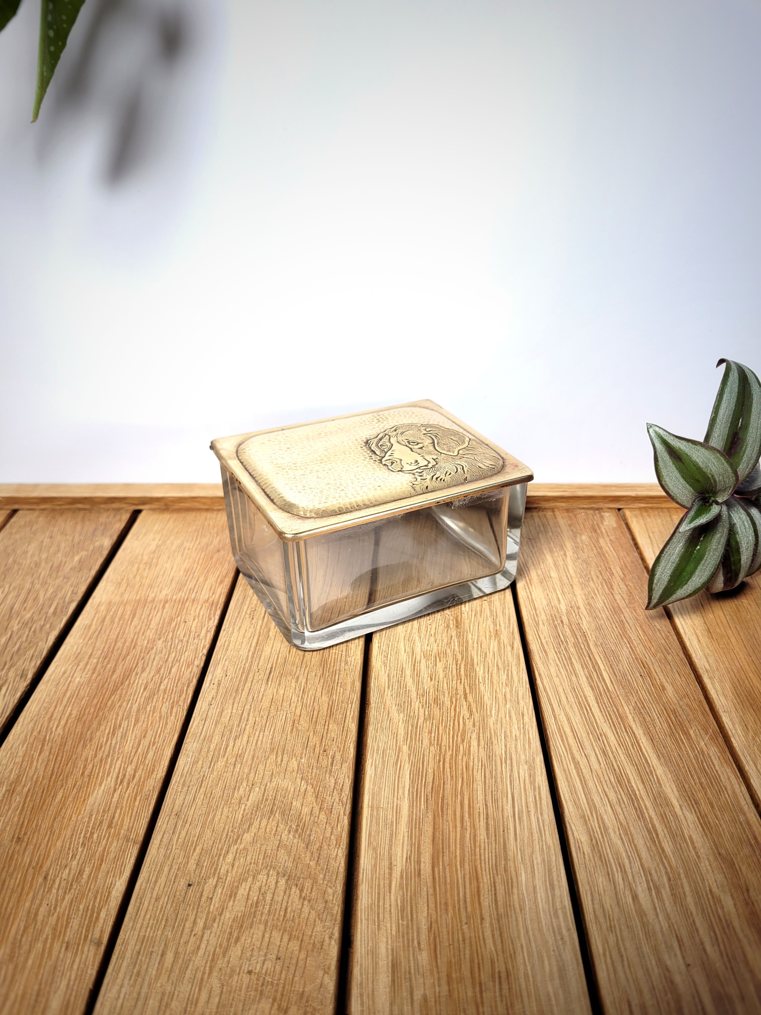 Glass & brass dog box