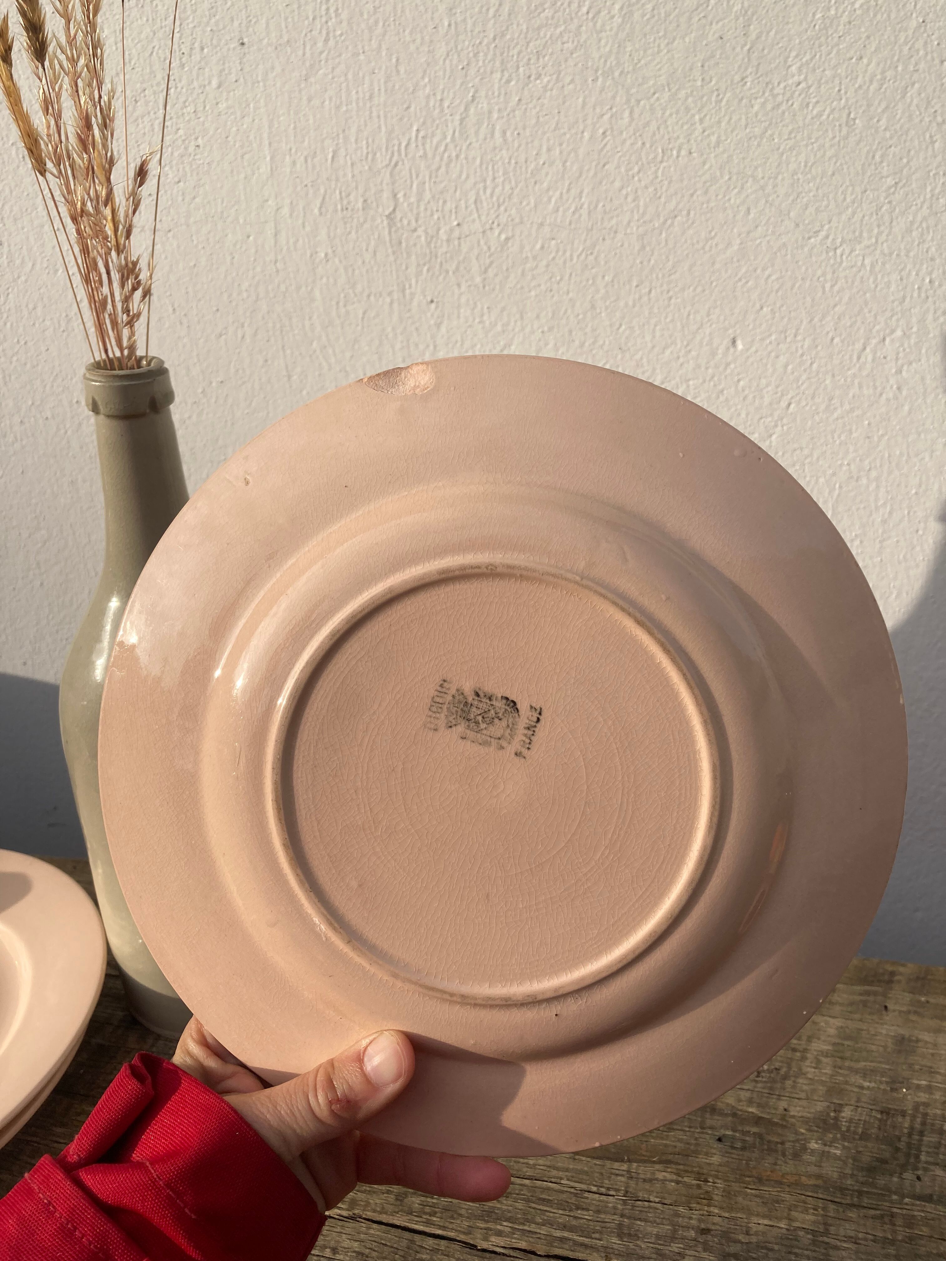 4 flat plates powder pink Digoin plain old