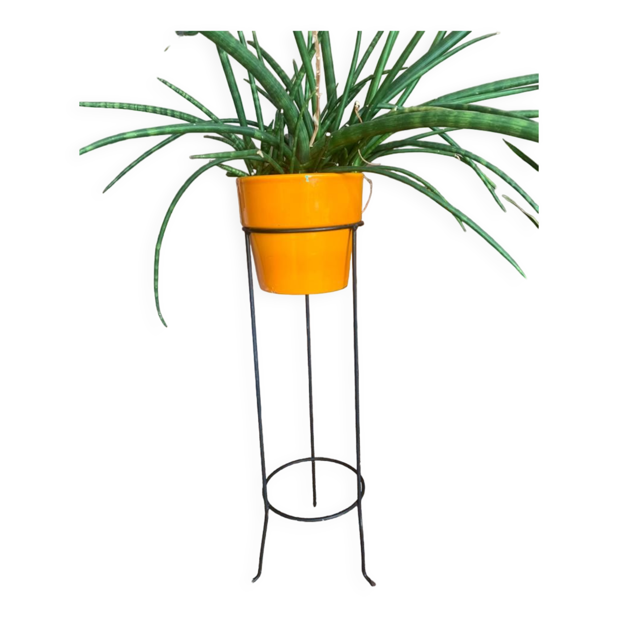Porte plante