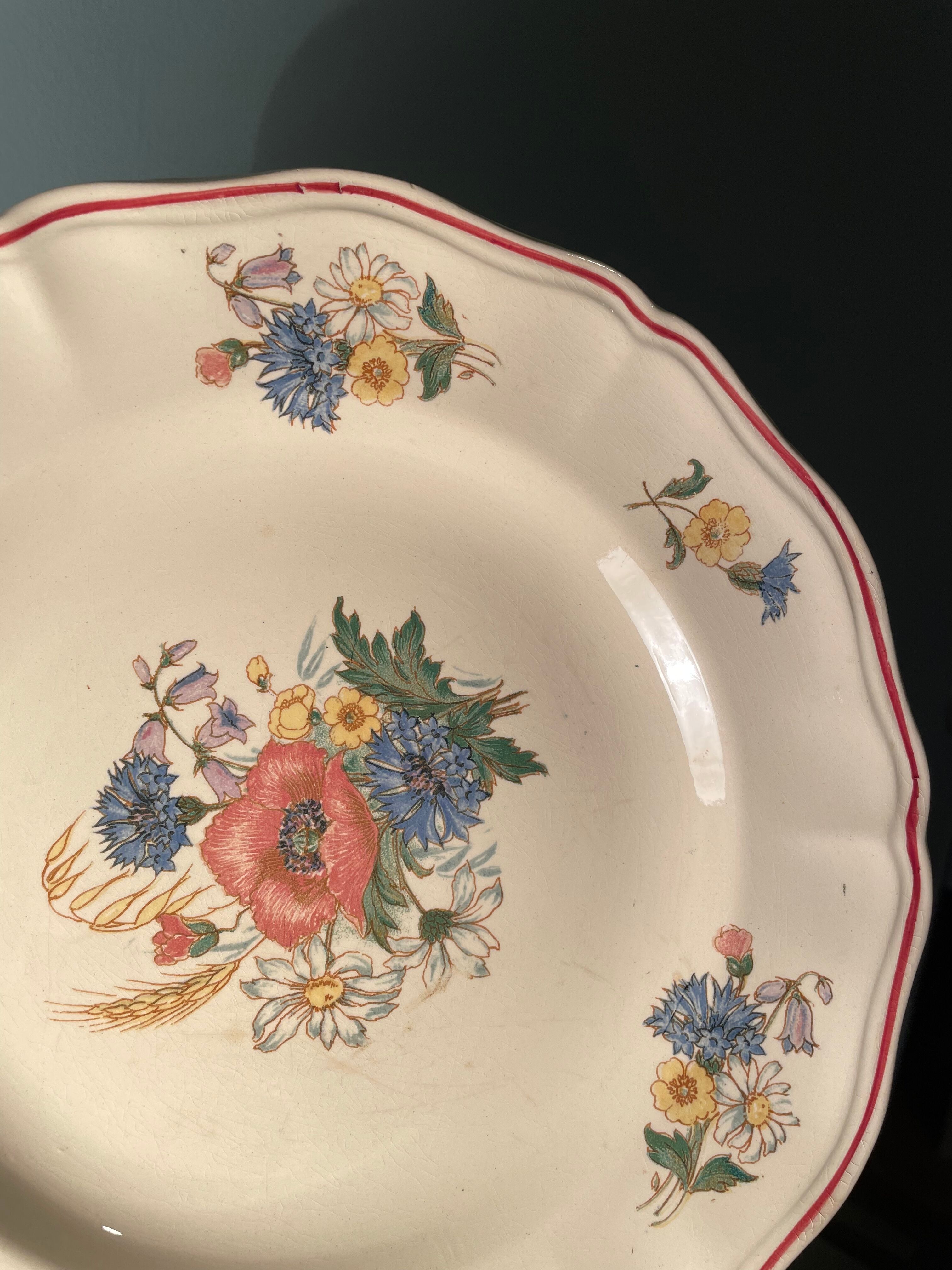 Set of 8 flat plates in Digoin Sarreguemines earthenware, Agreste model