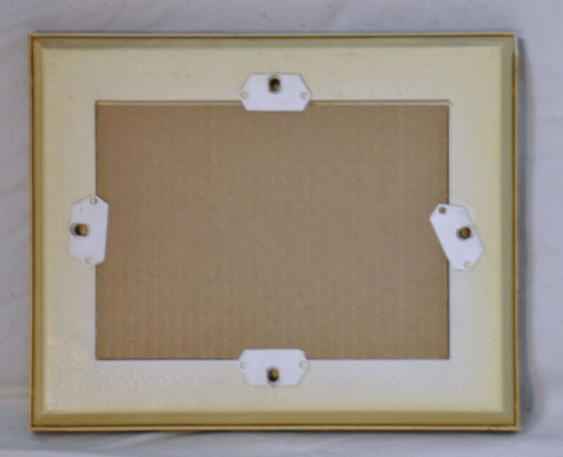 Naturalized Butterfly