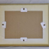 Naturalized Butterfly