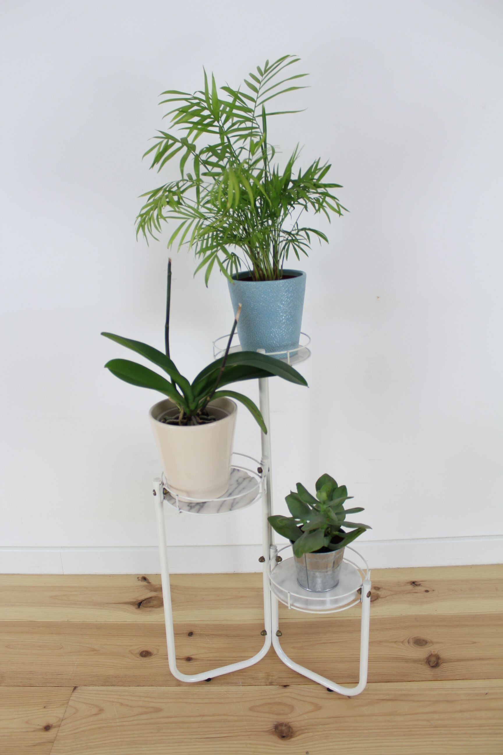 Door plant in white metal and marble