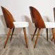 Dining Chairs by Antonin Suman, 1960s, Set of 4