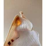 Lampe coquillage