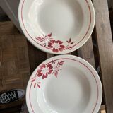 Lot 5 porcelain plates