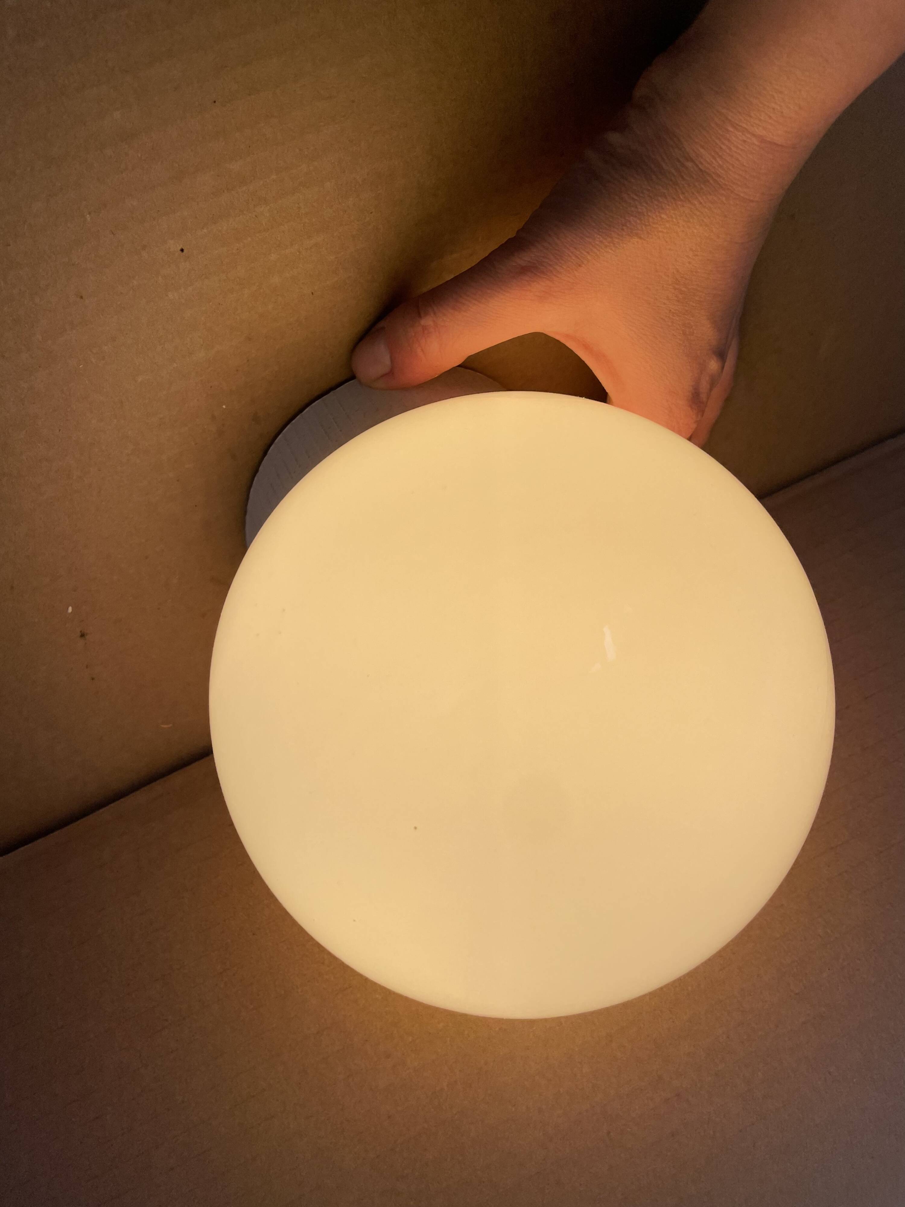 Antique Art Deco ceiling light