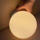 Antique Art Deco ceiling light