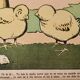 Old humorous satirical illustration of animals (chicks) - 1930
