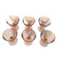 6 Rosaline champagne glasses