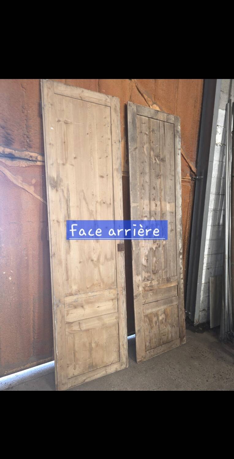 Pair of doors, 19th century