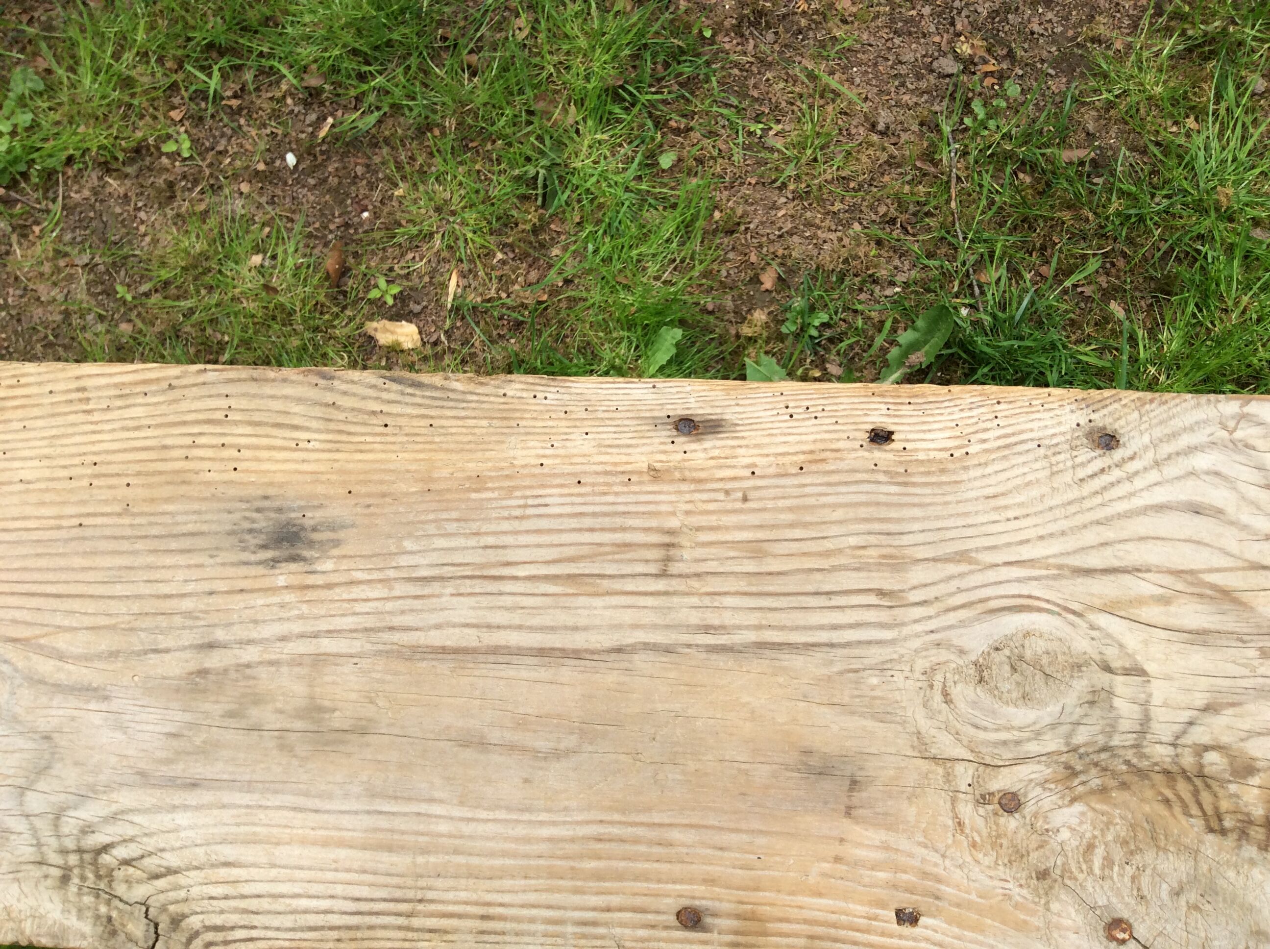 Banc brutaliste