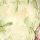 6 plates in slip decoration of roses earthenware of Onnaing