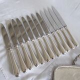 Set of 12 table knives in silver metal