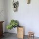 Woven wicker umbrella stand and brass Metal Linea Nova 1960