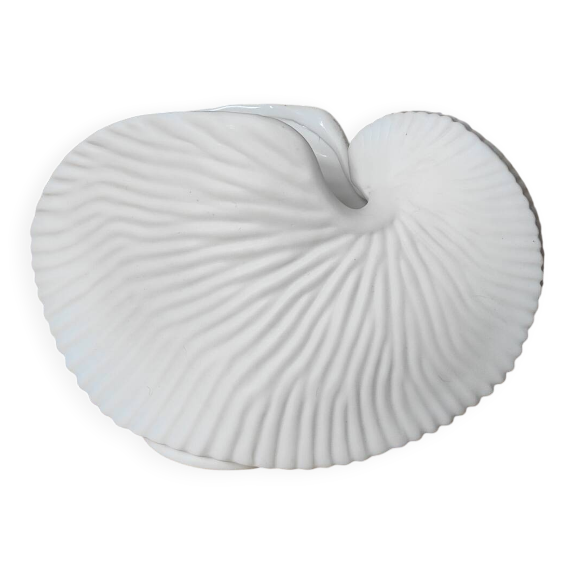 Shell tea light holder