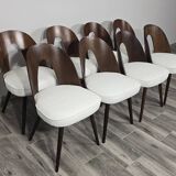 Dining Chairs by Antonin Suman, 1960s, Set of 8