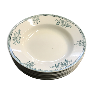 8 earthenware plates in St Amand earthenware with plant motif