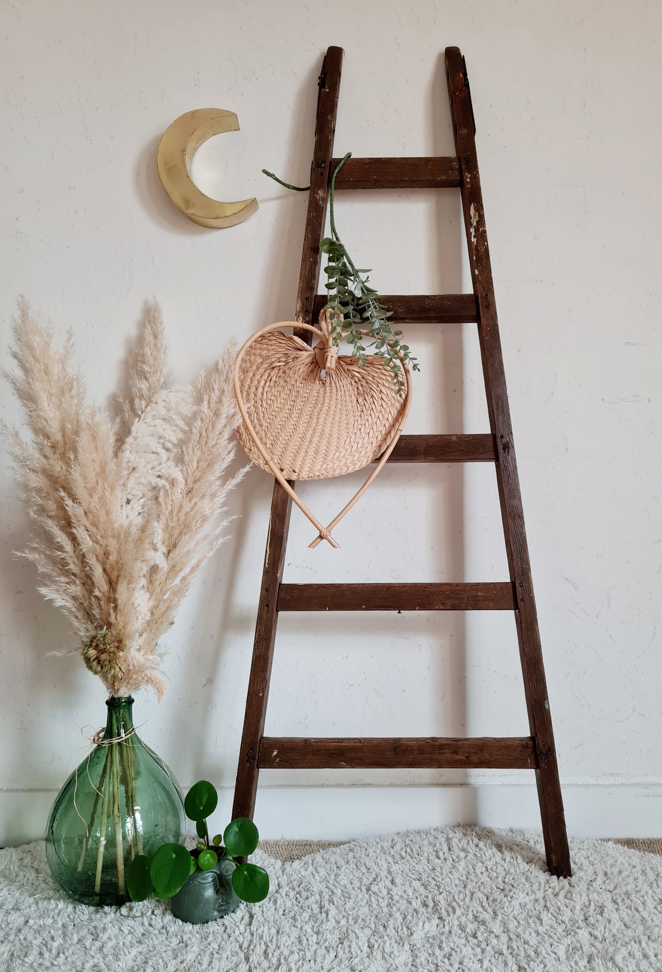 Old wooden farm ladder