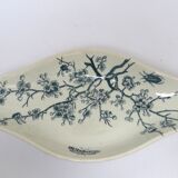 Ravier Luneville Insects