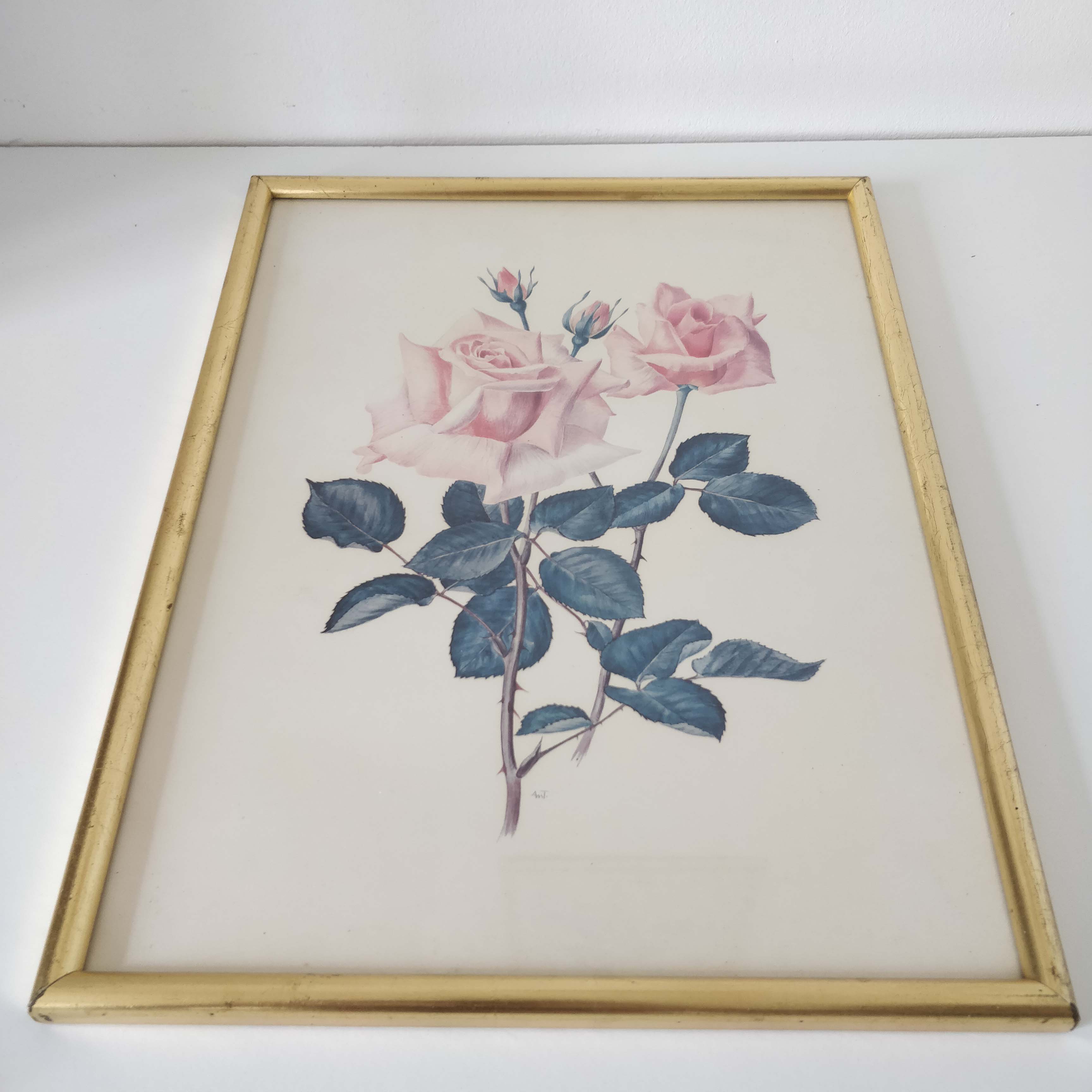 Illustration flower pink frame gilded wood