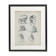 Antique engraving of primates xix