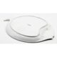 Large dish white ceramic fish